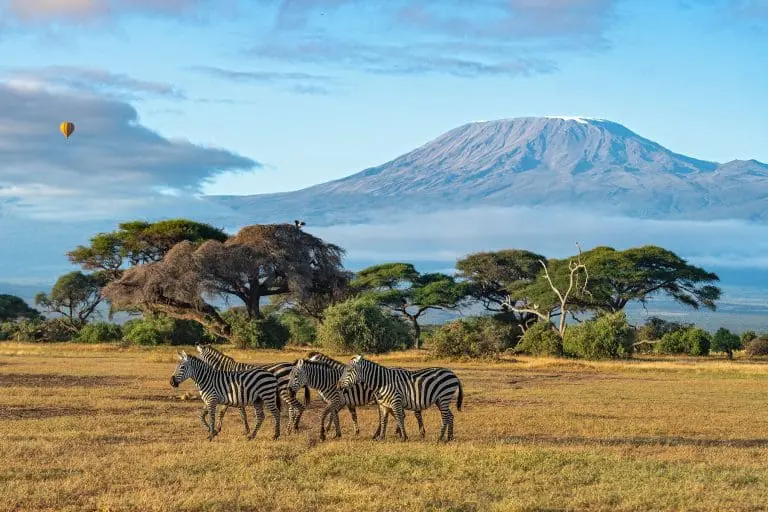 shutterstock_2518775841-768x512