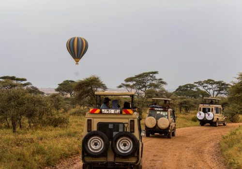 pexels-tanzania-wild-sky-986912744-20179685 (1)